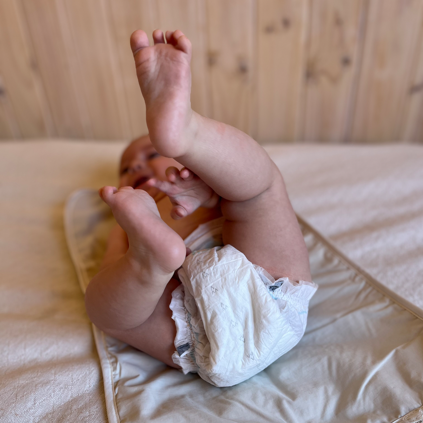 Mudador Portátil - Lines Camel